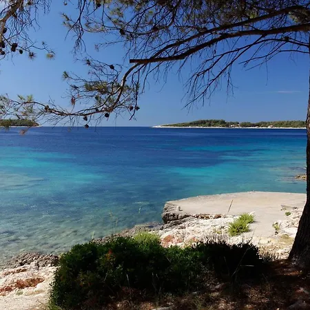 Apartment Doro Vela Luka