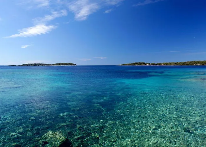 Doro * Vela Luka
